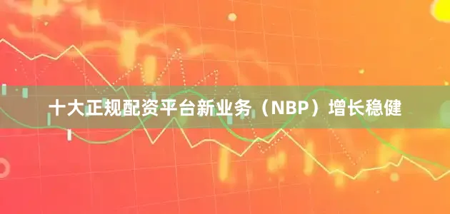 十大正规配资平台新业务（NBP）增长稳健
